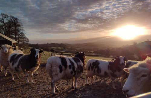 Shepherd's Watch Cottage - 5* Cyfie Farm with private hot tub - Foto 26
