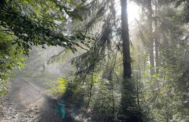 Szlak By Trafił - Photo 74