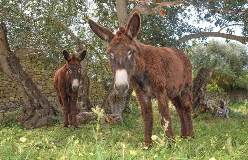 4 Bedroom Stunning Home In Giarratana - Foto 28