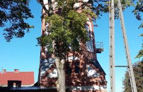 Apartament Parkowy - Foto 39