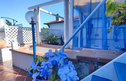 Pino Marino - Foto 27