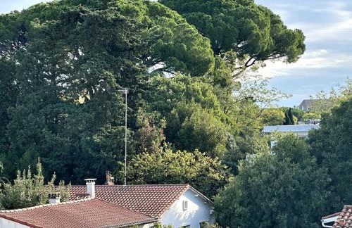 Appt aux Arceaux, Montpellier Centre, balcon, wifi, parking, Netflix - Photo 25