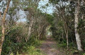 Apartamento aconchegante perto do mar - Photo 10