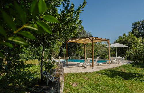 Casa do Pomar - Manor House - Foto 33