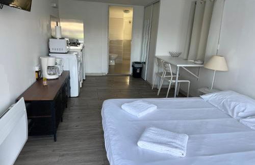 Tours, Touraine et Chateaux de la Loire - Foto 1