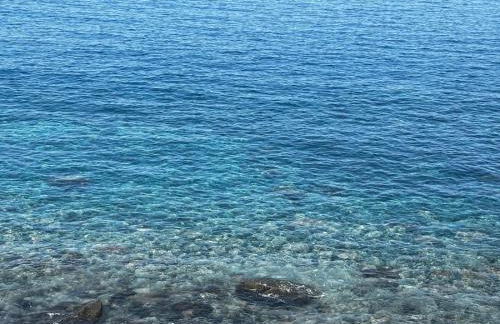 Bela Vigia - Foto 16