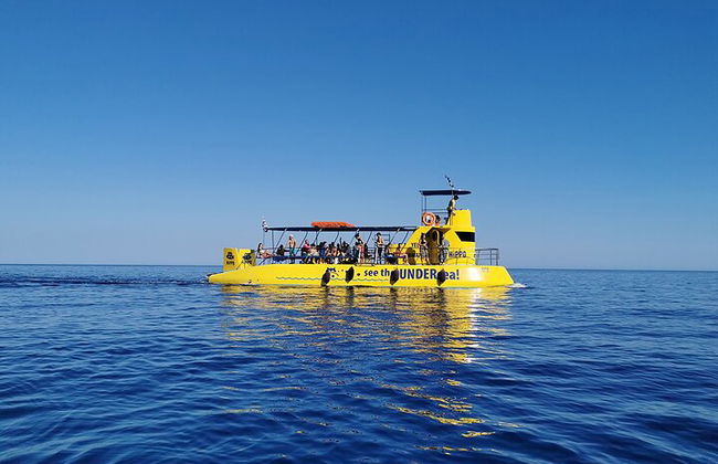 L'ippopotamo sottomarino giallo nella gita mattutina di Rodi - Foto 6