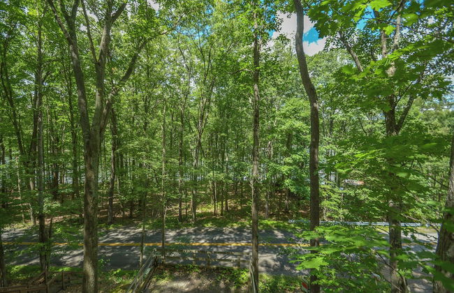 Bearadise Found by Taylor Made Deep Creek - Photo 49