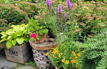 Dom w Górach Sowich Niedźwiedzia Gawra, Michałkowa - Foto 41