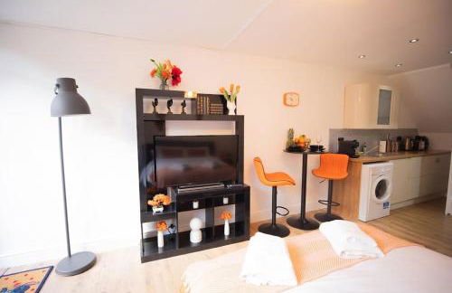 Cozy Studio in Central London - Foto 7