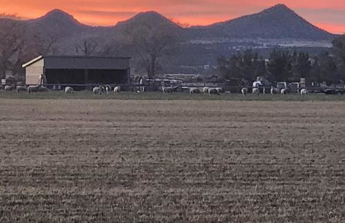 The Elevated Retreat - Foto 6