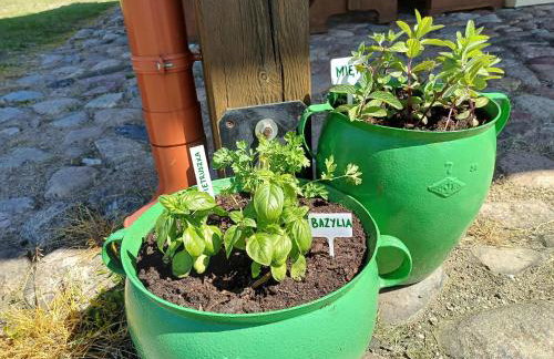 Szwałk Borecka - z sauną i balią, nad jeziorem - Foto 4