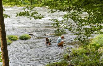 Perch Eagle House - Creek Access, Sauna, Mt views - Foto 14