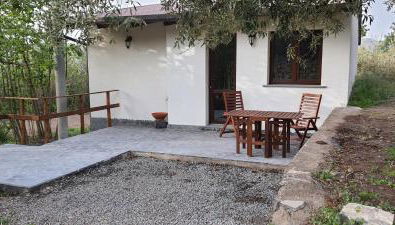 La finestra sul vigneto - Foto 4