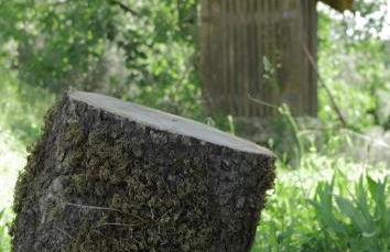 Quinta da Costeira - Casa Azul do Limoal by ALPONTE - Foto 69