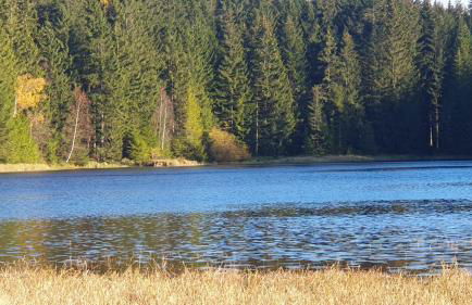 Ferienhaus Bringfriede - Foto 21