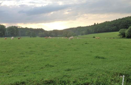 Ferienwohnung Baldus-Westerwald - Foto 23