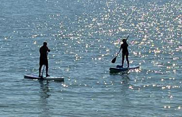 Westbury House - Foto 30