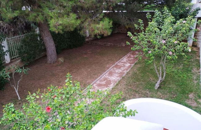 T3 Sra da Rocha by Casas & Papéis - Foto 12