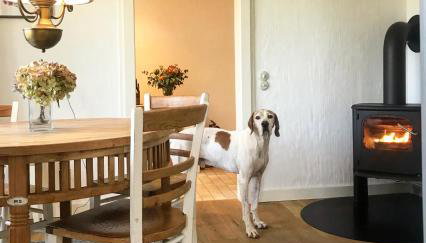 Warft Simmerdeis 2 Comfortable Holiday Residence - Foto 3