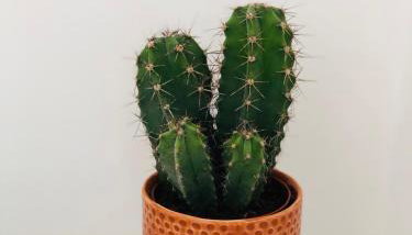 Appartement Coeur de Ville Cathédrale - Ascenseur - - Foto 5