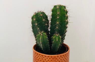 Appartement Coeur de Ville Cathédrale - Ascenseur - - Foto 5