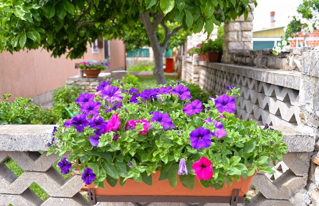 Apartment 167 - Foto 45