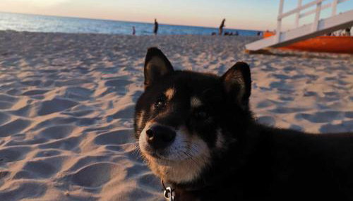 Dom Wakacyjny Koralowa 16, Osieki Zachodniopomorskie - Foto 5