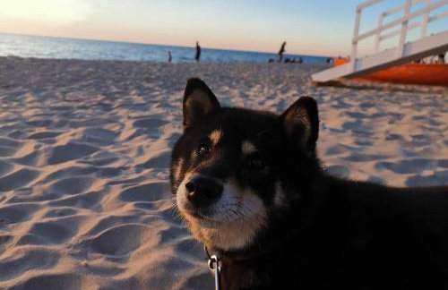 Dom Wakacyjny Koralowa 16, Osieki Zachodniopomorskie - Foto 5