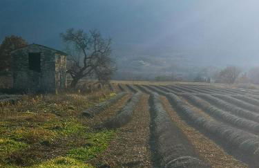Le Petit Paradis - Foto 19