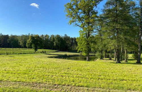 Cisza & Spokój - Foto 19