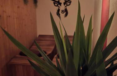 Ferienhof Haug - Foto 39