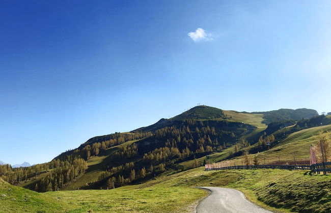 Gästehaus Bergwinkl - Foto 26