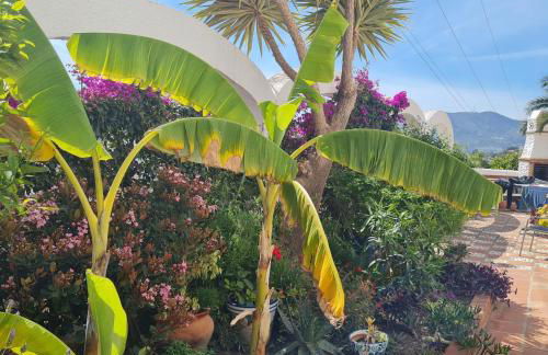 Casa Jazmin - Foto 6