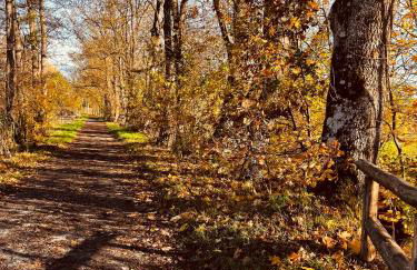 Ferienwohnung I Beck-Bräu nahe Bamberg - Foto 40