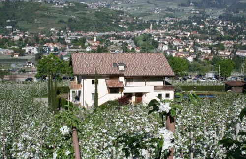 Premium Apartments Faselehof - Foto 60