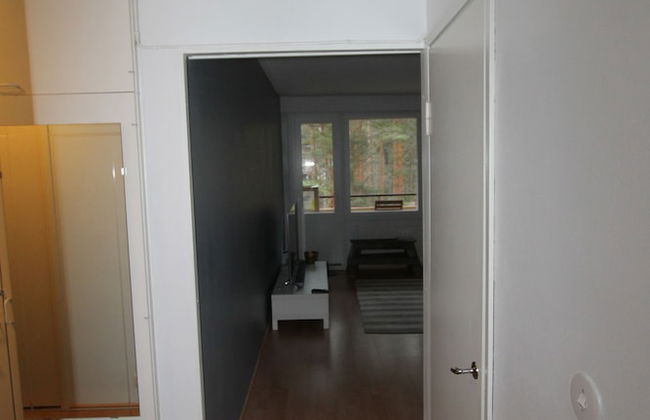 1-bedroom apartment with private Sauna - Foto 18