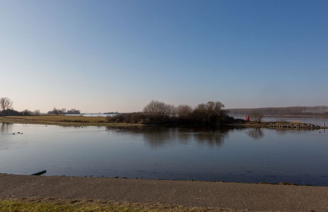 Holiday Home Near Veerse Meer Lake Wolphaartsdijk - Foto 19