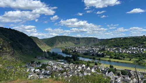 Ferienhaus Auszeit am Gülser Moselbogen 20 in Koblenz - Foto 4