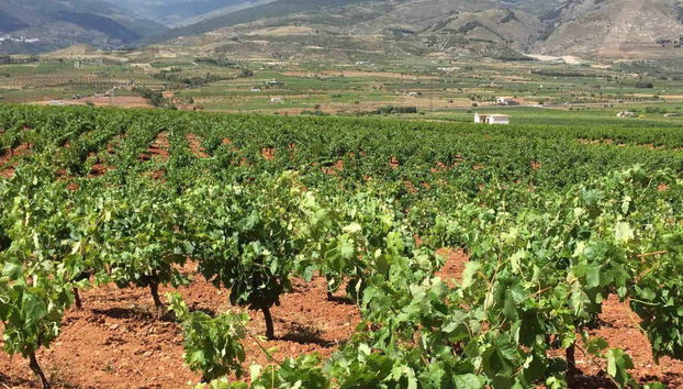 Tour in Láujar de Andarax - Foto 3