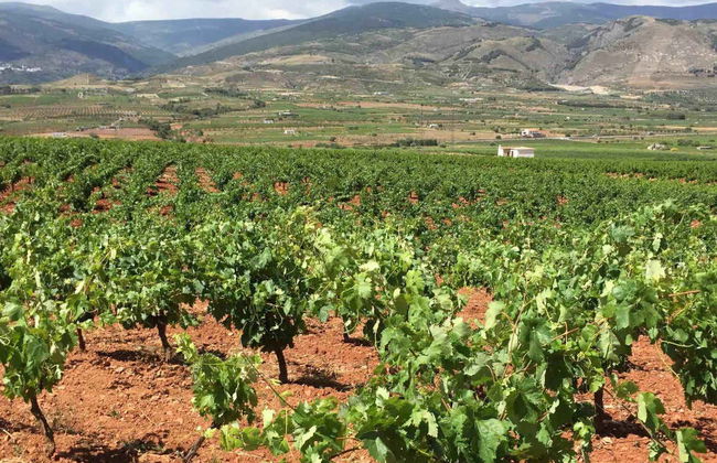 Tour in Láujar de Andarax - Foto 3