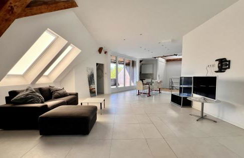 Gallery apartment near Strasbourg - Foto 1