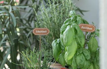 Dianthus Apartment - Photo 25