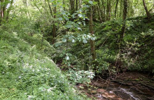 Lands Brow Lodge - Foto 36