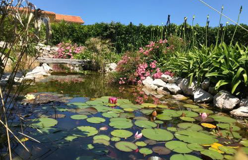 Robayera Family Beach Home - Foto 27