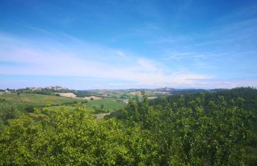 Il CHIOSTRO oasi di pace con antica cantina nel cuore del Monferrato Unesco - Foto 43
