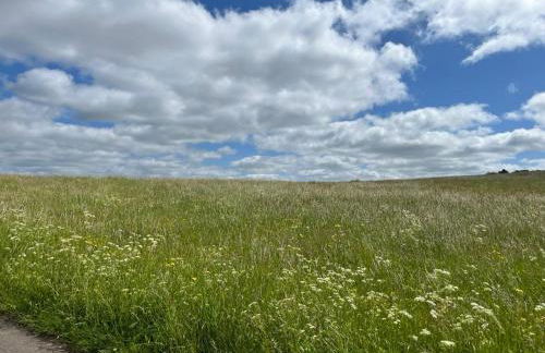 Eifel Moments - Photo 37