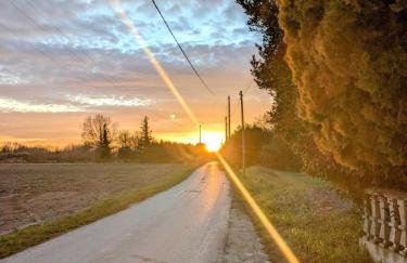 Gîte The Butterfly - 1 bedroom and mezzanine - Photo 20