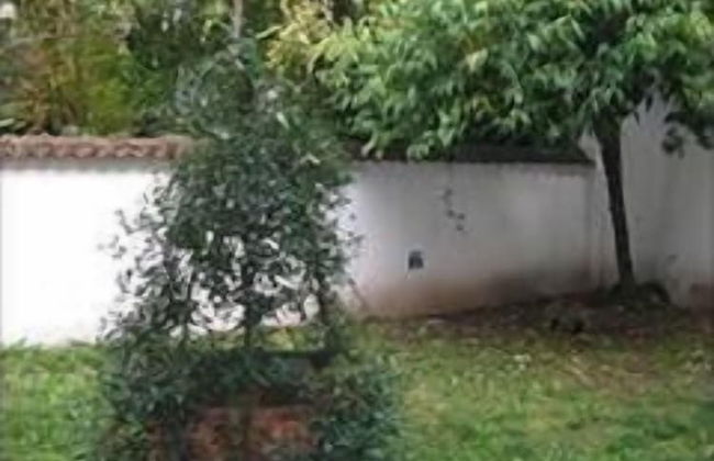 Casa Calicantus - Foto 24