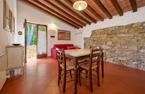 Poggio Diavolino - Suvereto - Foto 14